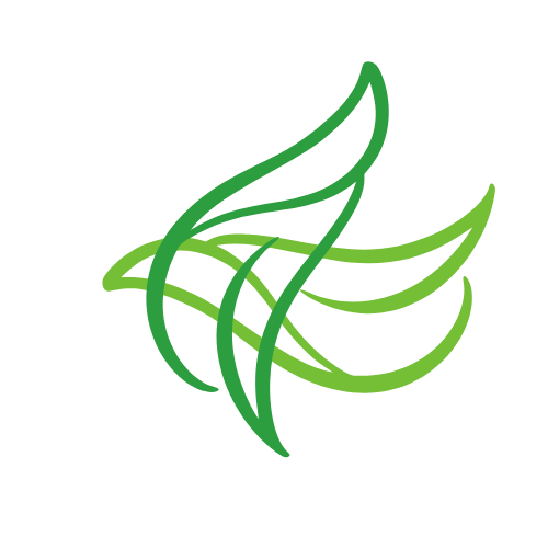 Confed Green for Health Logo
